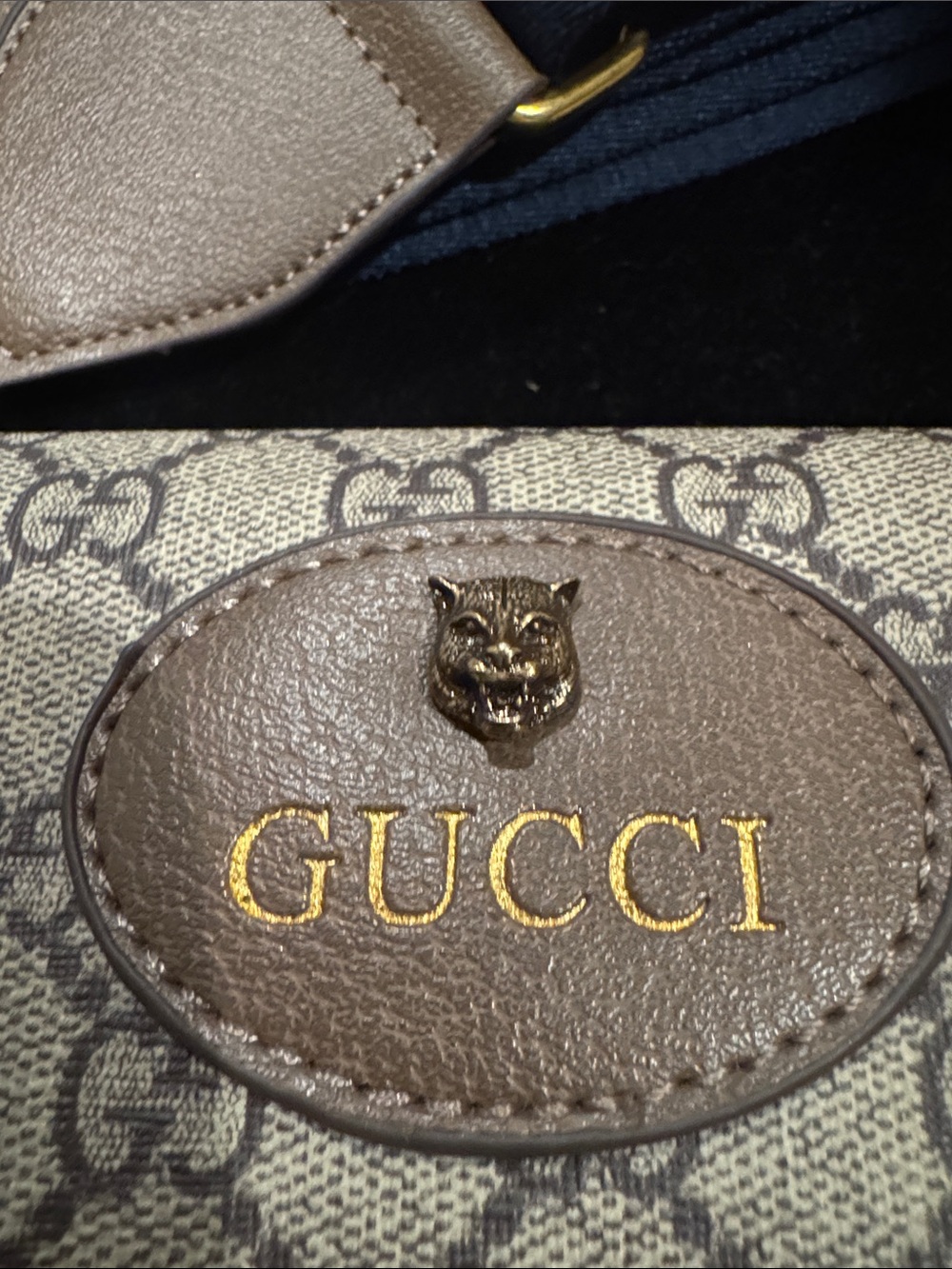 Gucci Supreme Canvas Bag - Picture 2 of 16